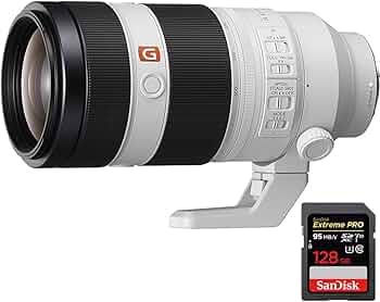 61-3+XDz9EL._AC_UF350,